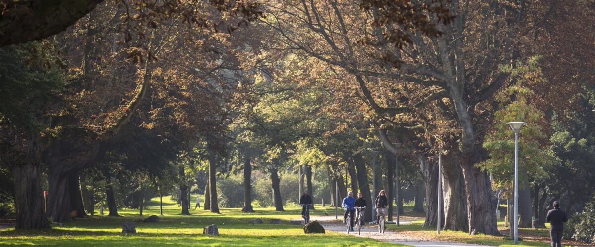 Gemeente Den Haag zoekt voor donderdag 29 augustus enthousiaste figuranten voor een promotievideo én fotoshoot over het Zuiderpark