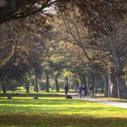 Gemeente Den Haag zoekt voor donderdag 29 augustus enthousiaste figuranten voor een promotievideo én fotoshoot over het Zuiderpark